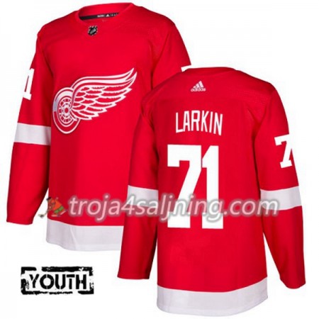 Detroit Red Wings tröja Dylan Larkin 71 Röd 2017-2018 Adidas Authentic - NHL Tröjor Barn Detroit Red Wings tröja Dylan Larkin 71 Röd 2017-2018 Adidas Authentic - NHL Tröjor Barn